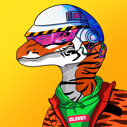 Clevergirlsnft