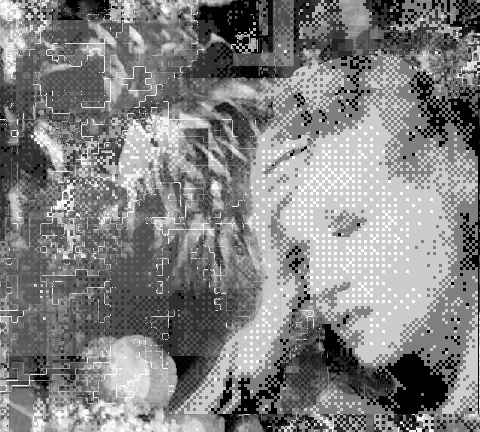 Jay Delay, BUY,SELL,OR HODL?