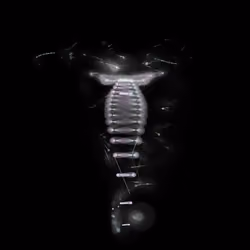 Spectral Being 267