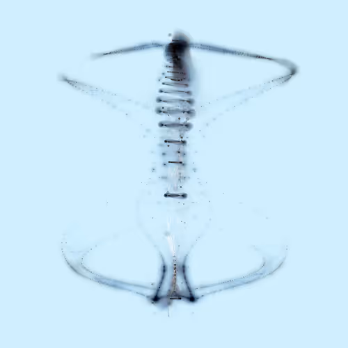 Spectral Beings Official