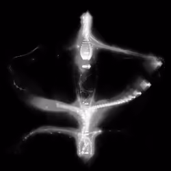 Spectral Being 495