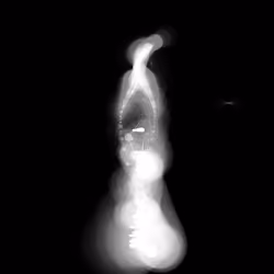 Spectral Being 646