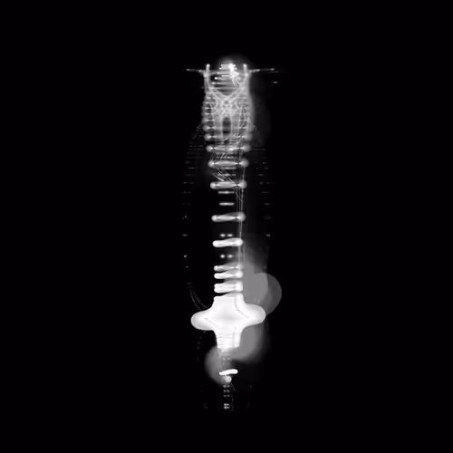 Spectral Beings Official