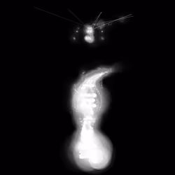 Spectral Being 349
