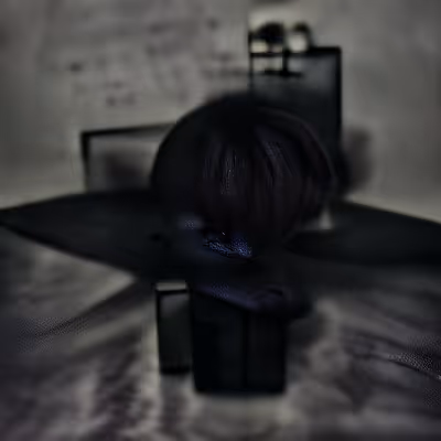 Item #312 Media