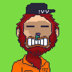 !yurt yetis #979