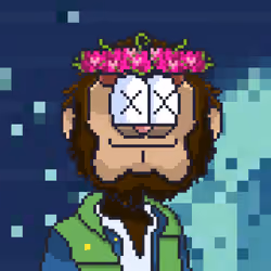 !yurt yetis #643