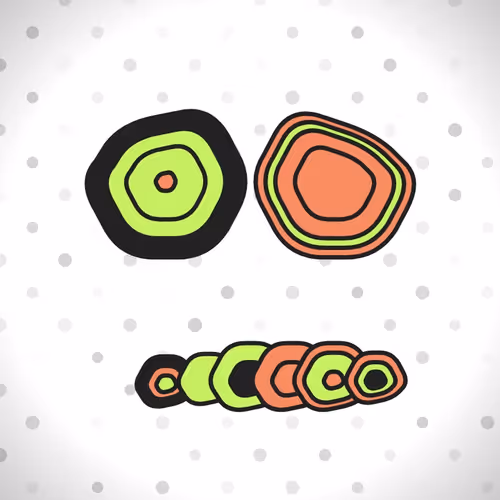 Item #360 Media