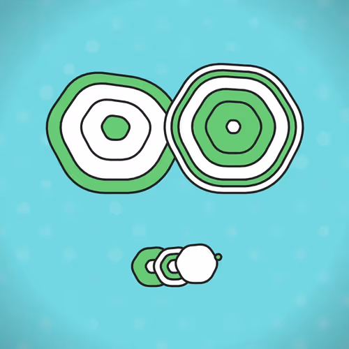 Item #60 Media