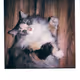 Polariod_Moments_S1E1