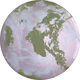 81