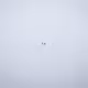 Gray - 90rVwJwlhw
