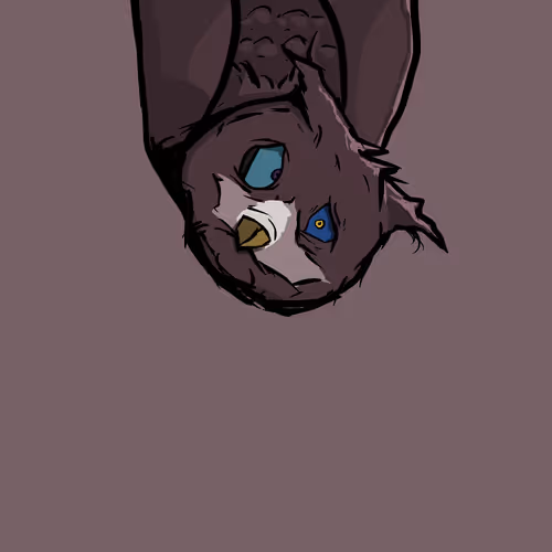 Moon Owl Wth