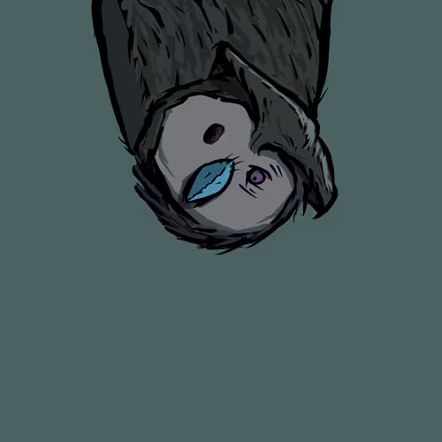 Moon Owl Wth
