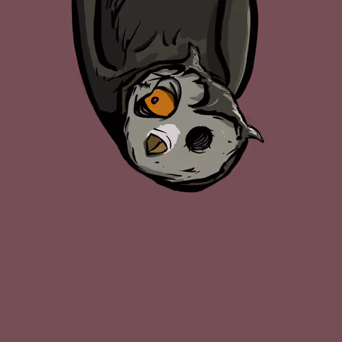 Moon Owl Wth