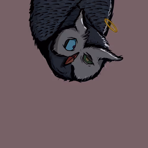 Moon Owl Wth