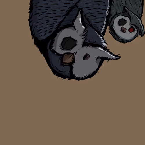Moon Owl Wth