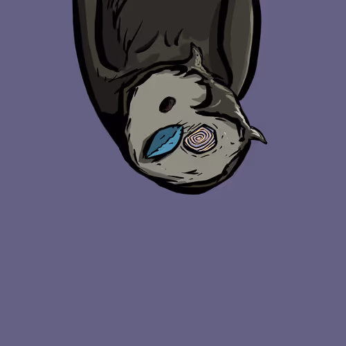 Moon Owl Wth
