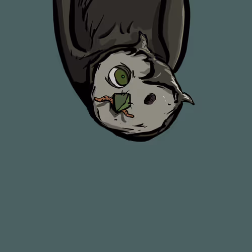 Moon Owl Wth