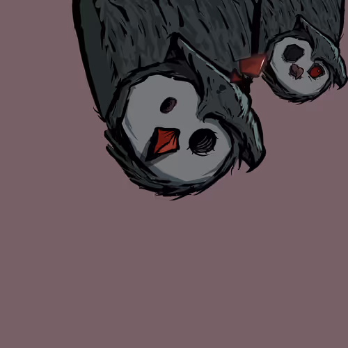 Moon Owl Wth