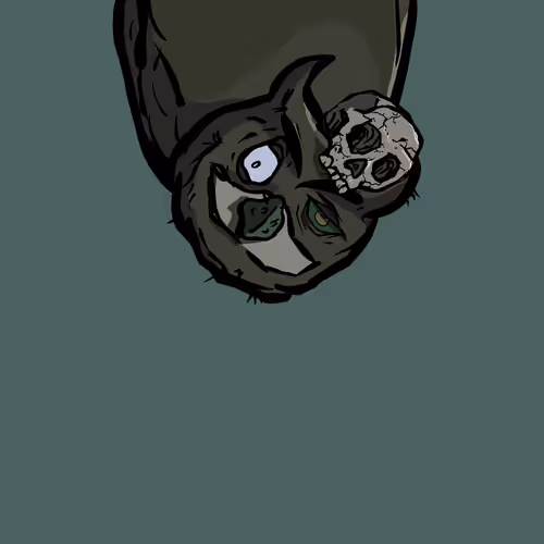 Moon Owl Wth