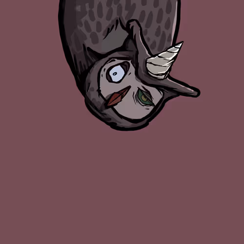 Moon Owl Wth