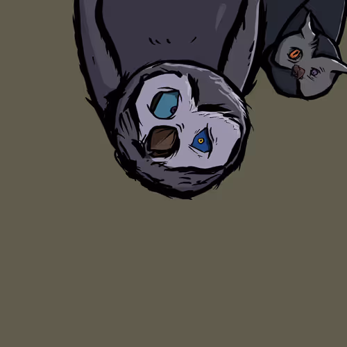 Moon Owl Wth