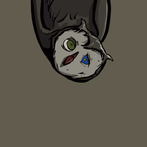 Moon Owl Wth