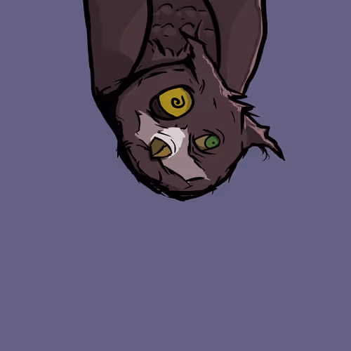 Moon Owl Wth