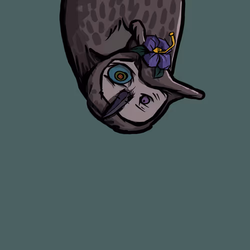 Moon Owl Wth