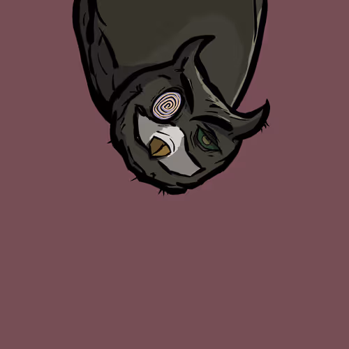 Moon Owl Wth