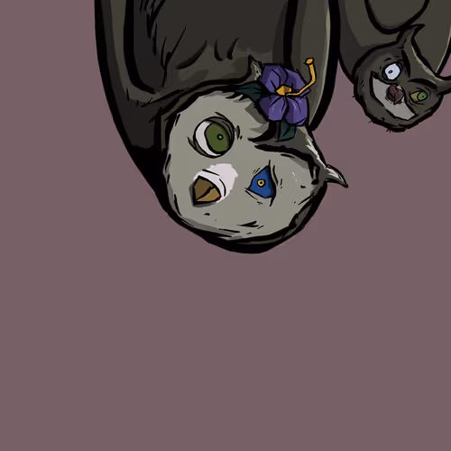 Moon Owl Wth