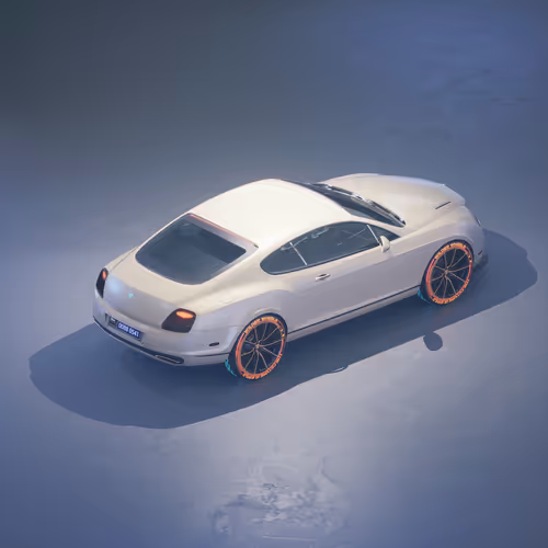 Wontinental Supersports 2010