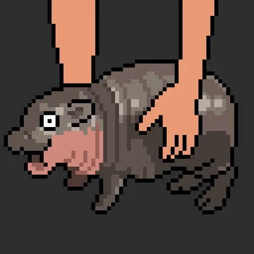 Pixel Moo Deng Collection