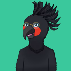 Parrot 720