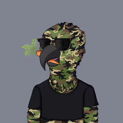Parrot 1422