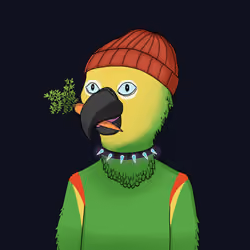 Parrot 1429