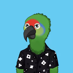 Parrot 814