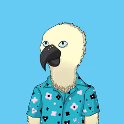 Parrot 55