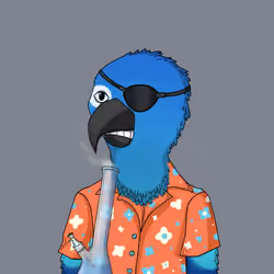 Parrot 666