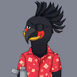 Parrot 36