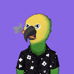 Parrot 1691