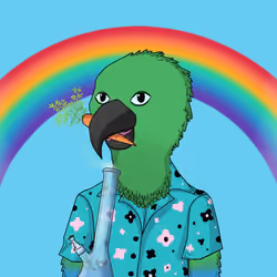 Parrot 1126