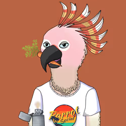 Parrot 1125