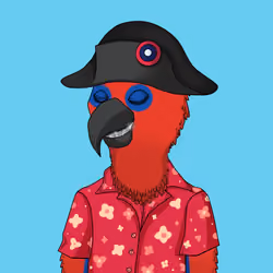 Parrot 1054