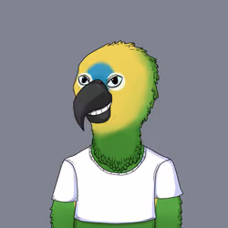 Parrot 1285