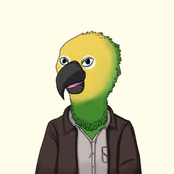 Parrot 1264
