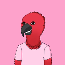 Parrot 1882