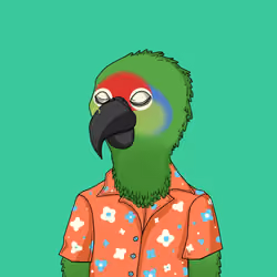 Parrot 1955