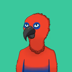 Parrot 1703